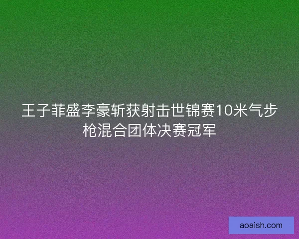 王子菲盛李豪斩获射击世锦赛10米气步枪混合团体决赛冠军